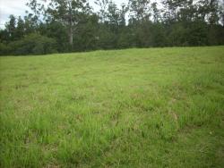 #394 - Terreno em condomínio para Venda em Itatiba - SP - 3